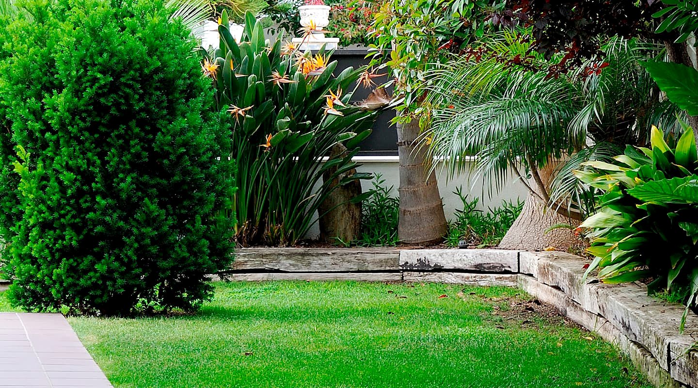 Trabajo de Futura Jardín en Rivas Vaciamadrid