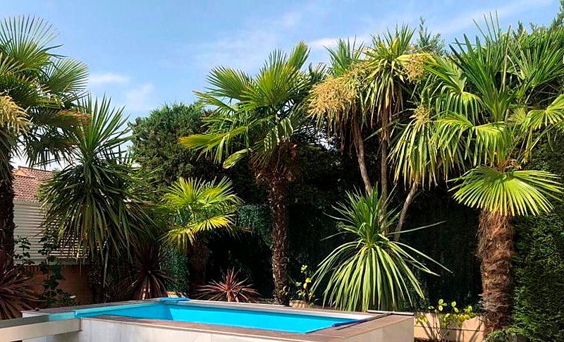 Trabajo de Futura Jardín en Rivas Vaciamadrid