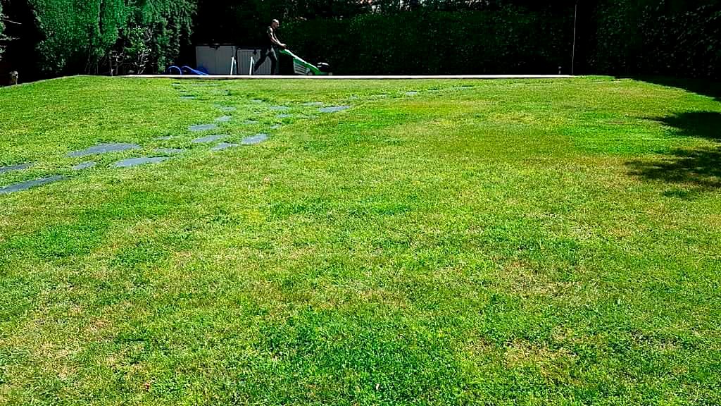 Trabajo de Futura Jardín en Rivas Vaciamadrid